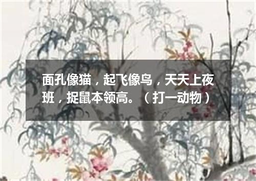 面孔像猫，起飞像鸟，天天上夜班，捉鼠本领高。（打一动物）
