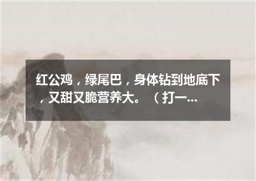 红公鸡，绿尾巴，身体钻到地底下，又甜又脆营养大。 （打一蔬菜）