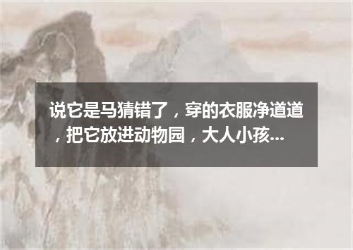 说它是马猜错了，穿的衣服净道道，把它放进动物园，大人小孩都爱瞧。（打一动物）