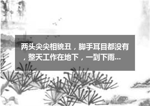 两头尖尖相貌丑，脚手耳目都没有，整天工作在地下，一到下雨才露头。（打一动物）