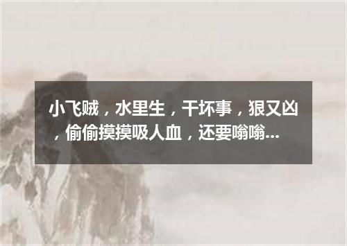 小飞贼，水里生，干坏事，狠又凶，偷偷摸摸吸人血，还要嗡嗡叫几声。（打一动物）