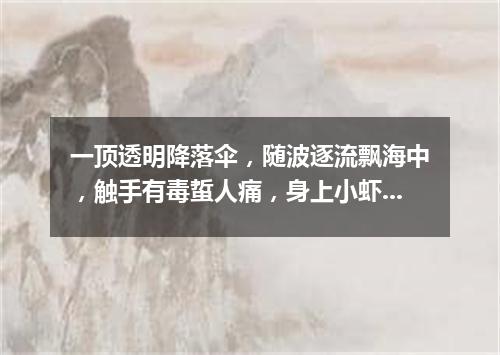 一顶透明降落伞，随波逐流飘海中，触手有毒蜇人痛，身上小虾当眼睛。（打一动物）
