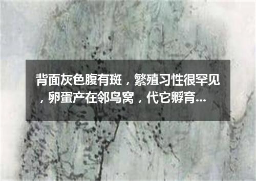 背面灰色腹有斑，繁殖习性很罕见，卵蛋产在邻鸟窝，代它孵育自消遣。（打一动物）