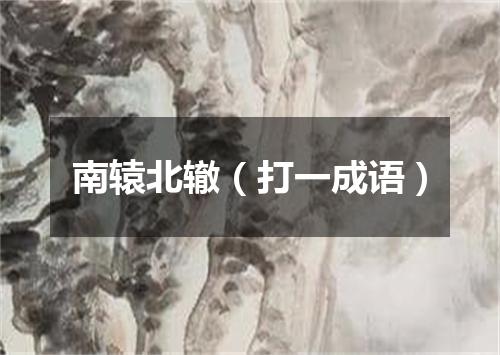 南辕北辙（打一成语）