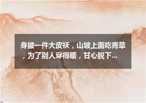 身披一件大皮袄，山坡上面吃青草，为了别人穿得暖，甘心脱下自己毛。（打一动物）