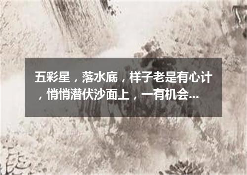 五彩星，落水底，样子老是有心计，悄悄潜伏沙面上，一有机会搞袭击。（打一动物）