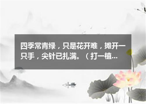 四季常青绿，只是花开难，摊开一只手，尖针已扎满。（打一植物）