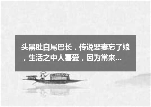 头黑肚白尾巴长，传说娶妻忘了娘，生活之中人喜爱，因为常来报吉祥。（打一动物）