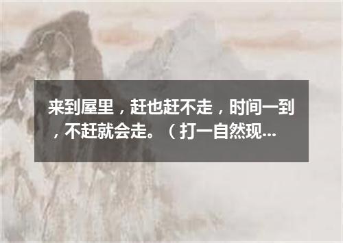 来到屋里，赶也赶不走，时间一到，不赶就会走。（打一自然现象）