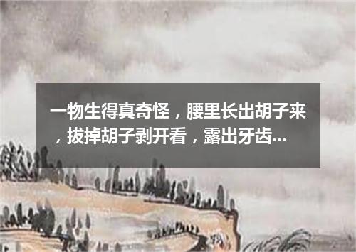 一物生得真奇怪，腰里长出胡子来，拔掉胡子剥开看，露出牙齿一排排。（打一植物）