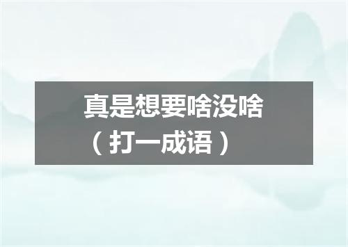 真是想要啥没啥（打一成语）