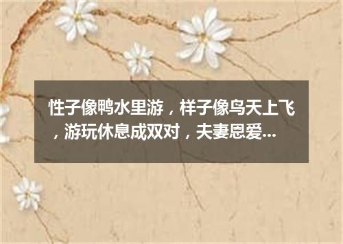 性子像鸭水里游，样子像鸟天上飞，游玩休息成双对，夫妻恩爱永不离。（打一动物）