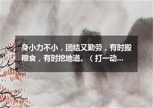身小力不小，团结又勤劳，有时搬粮食，有时挖地道。（打一动物）