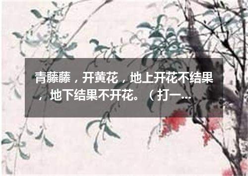 青藤藤，开黄花，地上开花不结果， 地下结果不开花。（打一植物）