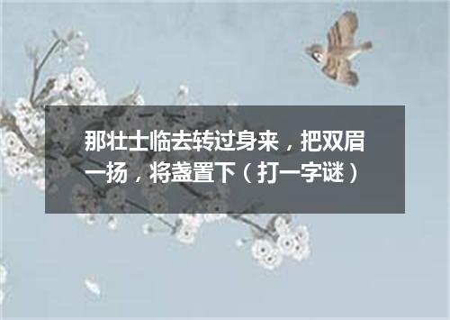 那壮士临去转过身来，把双眉一扬，将盏置下（打一字谜）