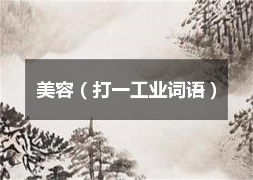 美容（打一工业词语）
