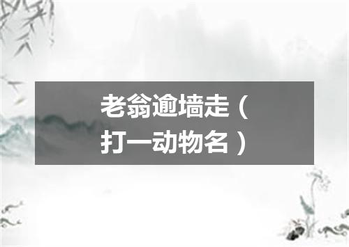 老翁逾墙走（打一动物名）