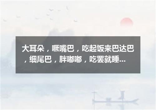 大耳朵，噘嘴巴，吃起饭来巴达巴，细尾巴，胖嘟嘟，吃罢就睡呼噜噜。（打一动物）
