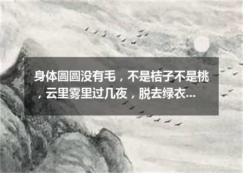 身体圆圆没有毛，不是桔子不是桃，云里雾里过几夜，脱去绿衣换红袍。（打一植物）