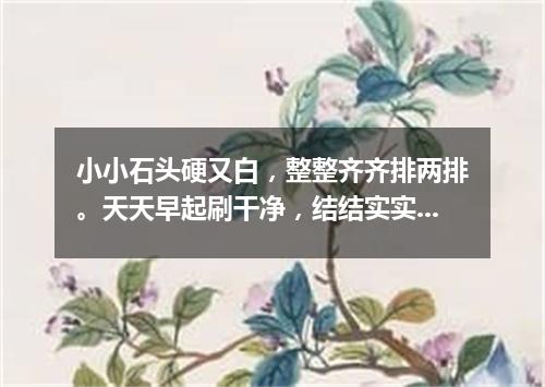 小小石头硬又白，整整齐齐排两排。天天早起刷干净，结结实实不爱坏。（打一人体器官）