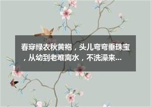 春穿绿衣秋黄袍，头儿弯弯垂珠宝，从幼到老难离水，不洗澡来只泡脚。（打一植物）