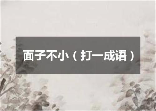 面子不小（打一成语）