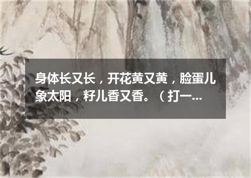 身体长又长，开花黄又黄，脸蛋儿象太阳，籽儿香又香。（打一植物）
