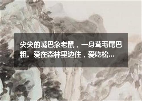 尖尖的嘴巴象老鼠，一身茸毛尾巴粗。爱在森林里边住，爱吃松子爱上树。（打一动物）