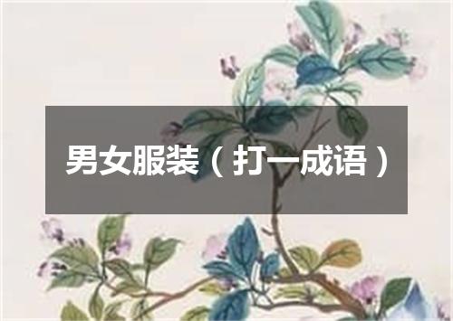 男女服装（打一成语）