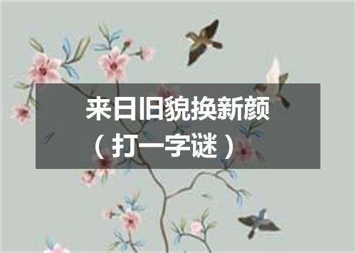 来日旧貌换新颜（打一字谜）