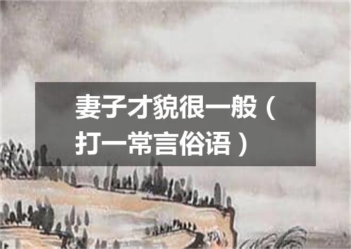 妻子才貌很一般（打一常言俗语）