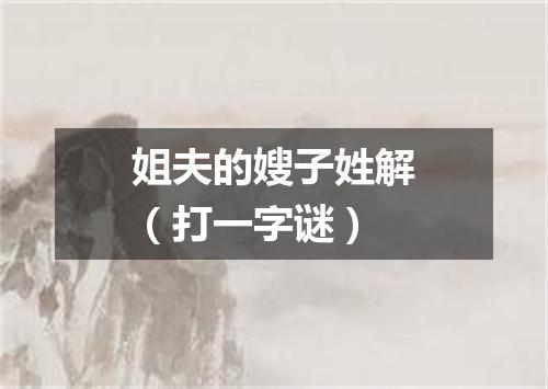 姐夫的嫂子姓解（打一字谜）