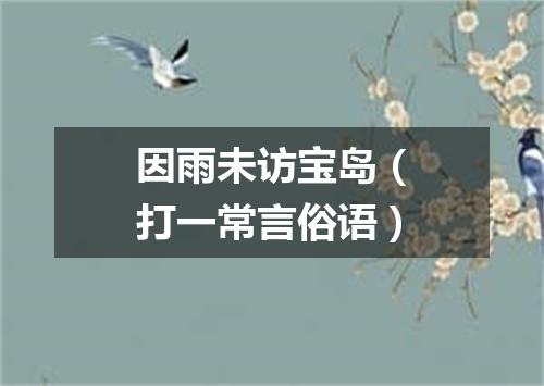 因雨未访宝岛（打一常言俗语）