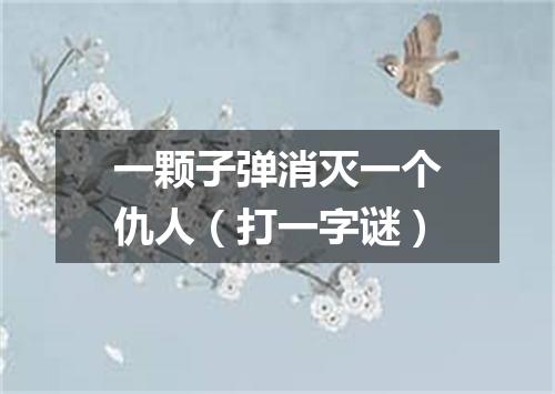 一颗子弹消灭一个仇人（打一字谜）