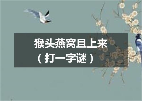 猴头燕窝且上来（打一字谜）