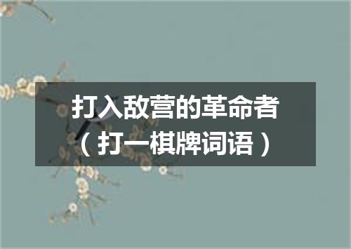 打入敌营的革命者（打一棋牌词语）