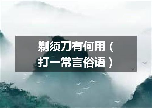 剃须刀有何用（打一常言俗语）