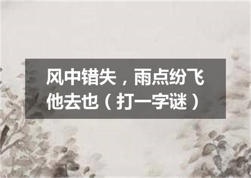 风中错失，雨点纷飞他去也（打一字谜）