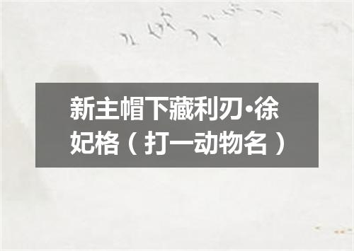 新主帽下藏利刃·徐妃格（打一动物名）