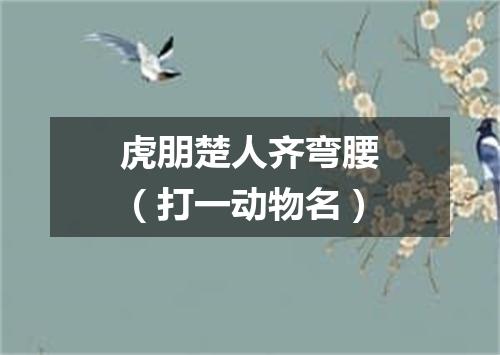 虎朋楚人齐弯腰（打一动物名）