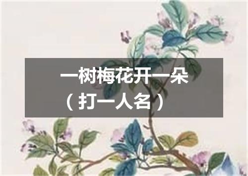 一树梅花开一朵（打一人名）