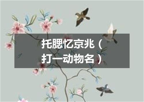 托腮忆京兆（打一动物名）