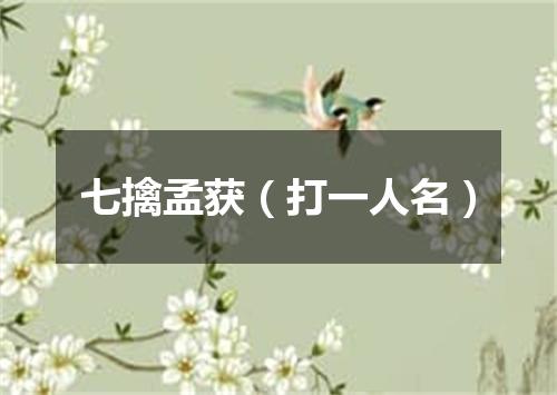七擒孟获（打一人名）