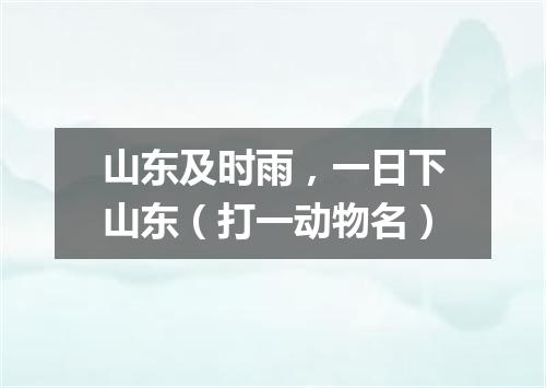 山东及时雨，一日下山东（打一动物名）