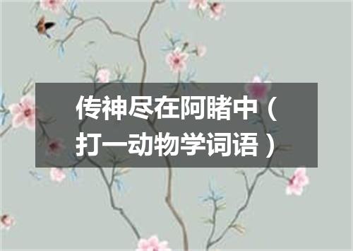 传神尽在阿睹中（打一动物学词语）