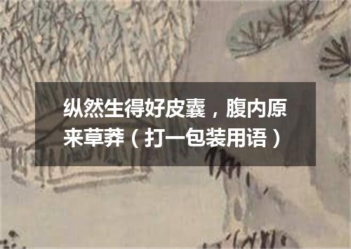 纵然生得好皮囊，腹内原来草莽（打一包装用语）