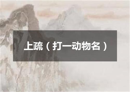 上疏（打一动物名）