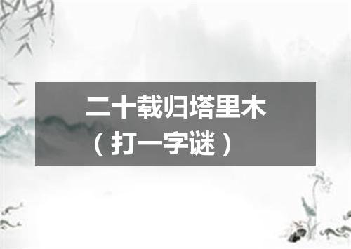 二十载归塔里木（打一字谜）