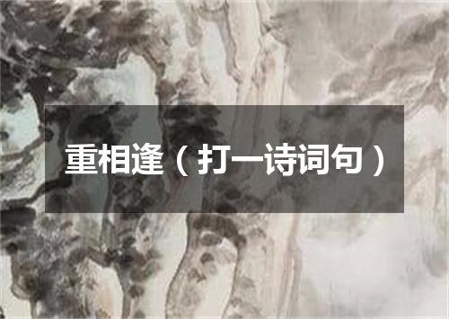 重相逢（打一诗词句）