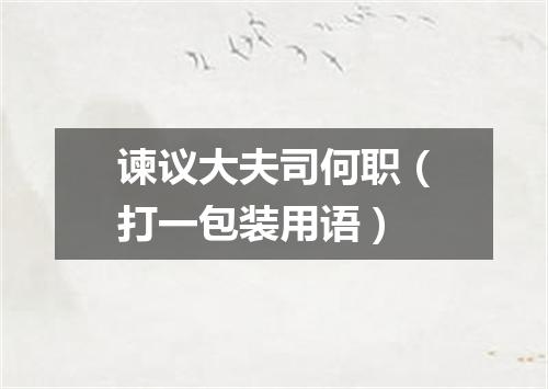 谏议大夫司何职（打一包装用语）